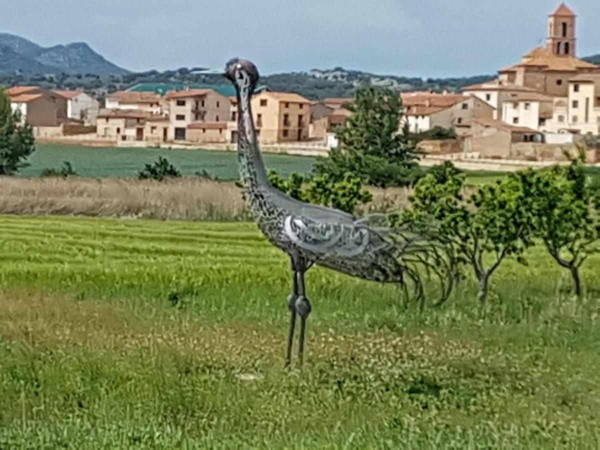 Casas Rurales La Laguna Y La Buhardilla De La Lagu Gallocanta Buitenkant foto