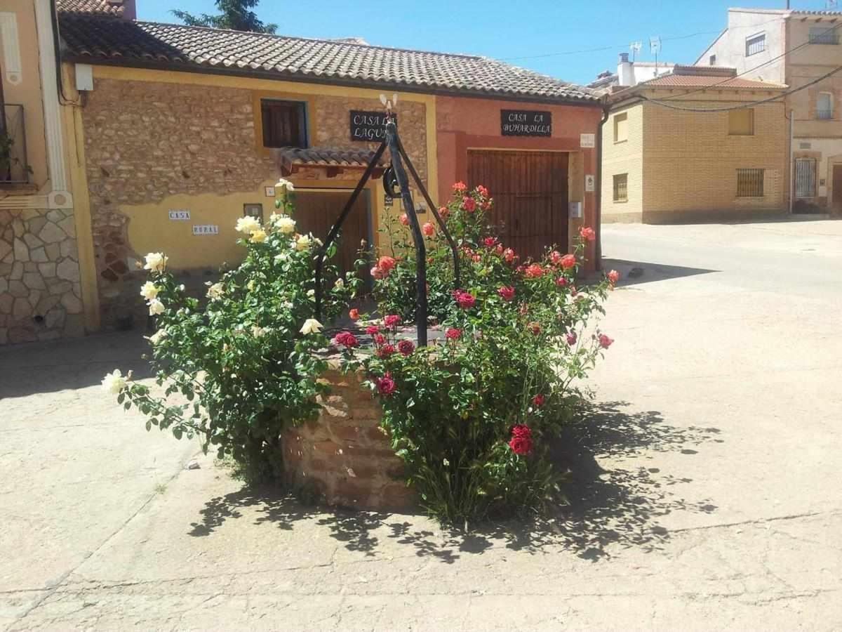 Casas Rurales La Laguna Y La Buhardilla De La Lagu Gallocanta Buitenkant foto