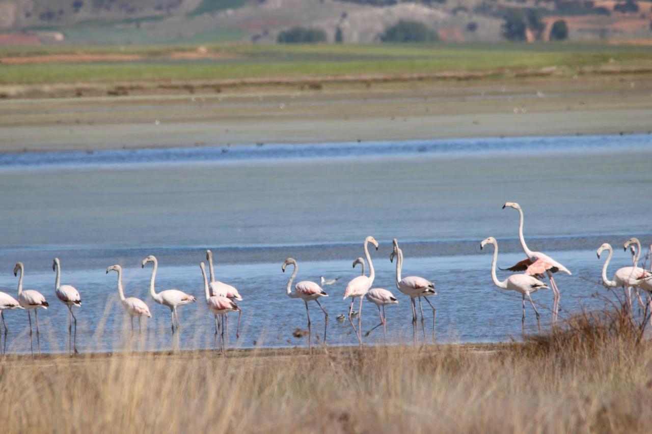 Casas Rurales La Laguna Y La Buhardilla De La Lagu Gallocanta Buitenkant foto